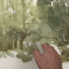 Il Respiro del Bosco - immagine 3