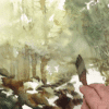 Il Respiro del Bosco - immagine 4