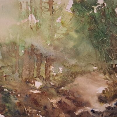 Il Respiro del Bosco