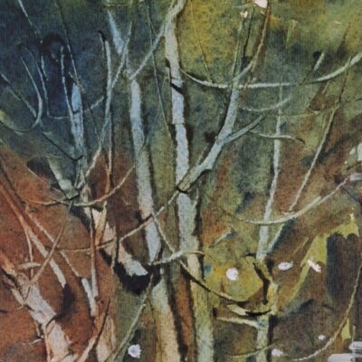 Luoghi dell'invisibile - Opera 1