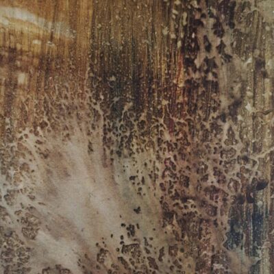 Luoghi dell'invisibile - Opera 6